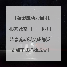 凝聚流动力量 扎根蓉城家园——四川盐亭流动党员成都党支部正式揭牌成立